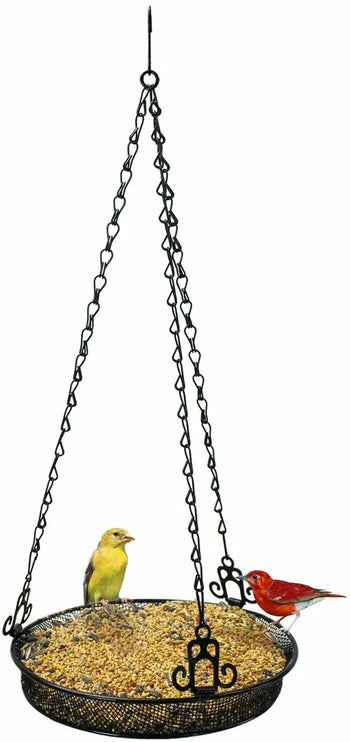 Hanging Bird Feeder Easy-to-Hang Tray for Attracting Birds