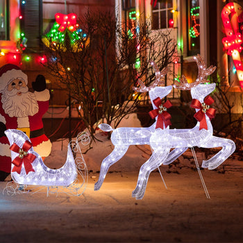 Lighted Christmas Reindeer and Sleigh Set with 270 LED Outdoor Display