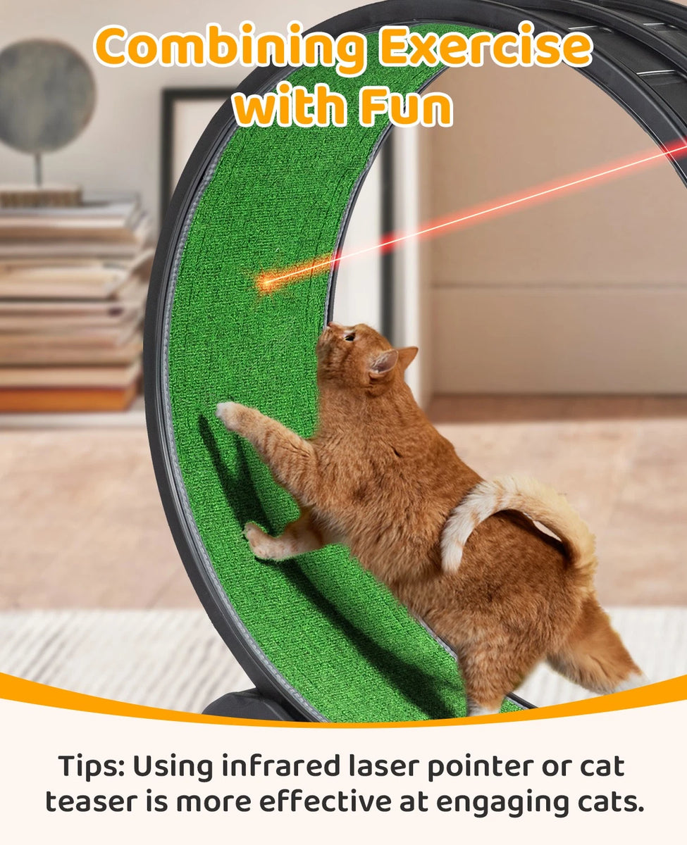 31.5in Cat Exercise Wheel with Safety Lock, Quiet Rollers, and Scratch Pad