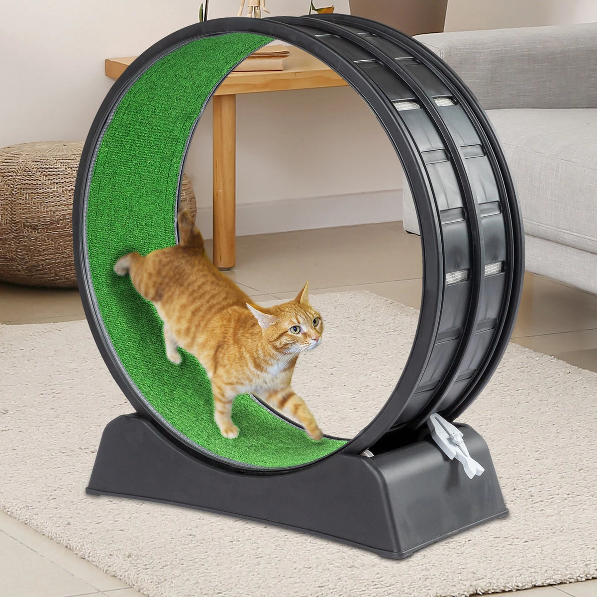 31.5in Cat Exercise Wheel with Safety Lock, Quiet Rollers, and Scratch Pad