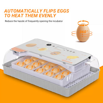 Digital Egg Incubator 20 Eggs Automatic Poultry Hatcher