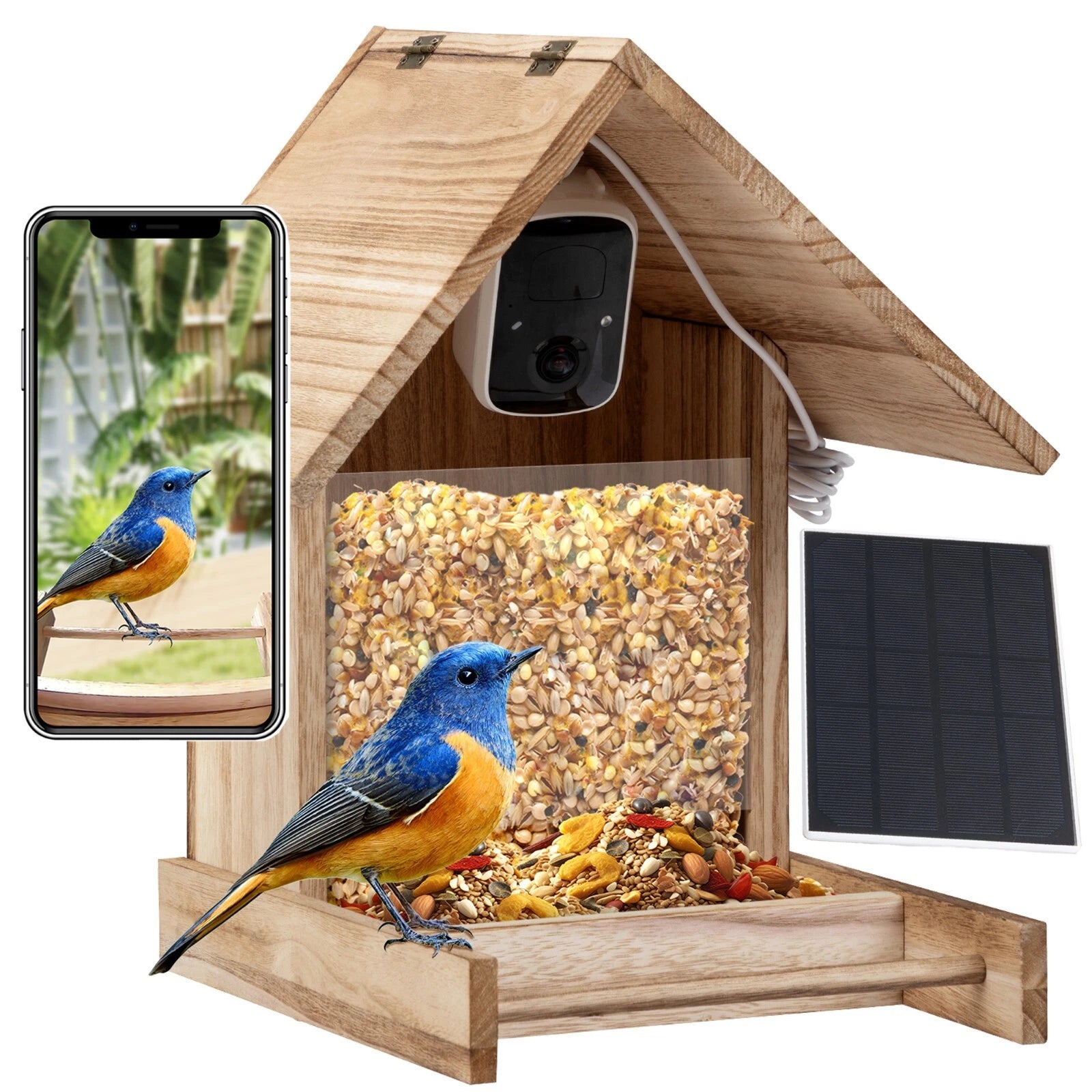 Solar Smart Bird Feeder Camera with AI Recognition and 1080P Live View