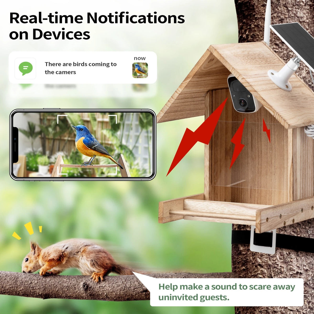 Solar Smart Bird Feeder Camera with AI Recognition and 1080P Live View