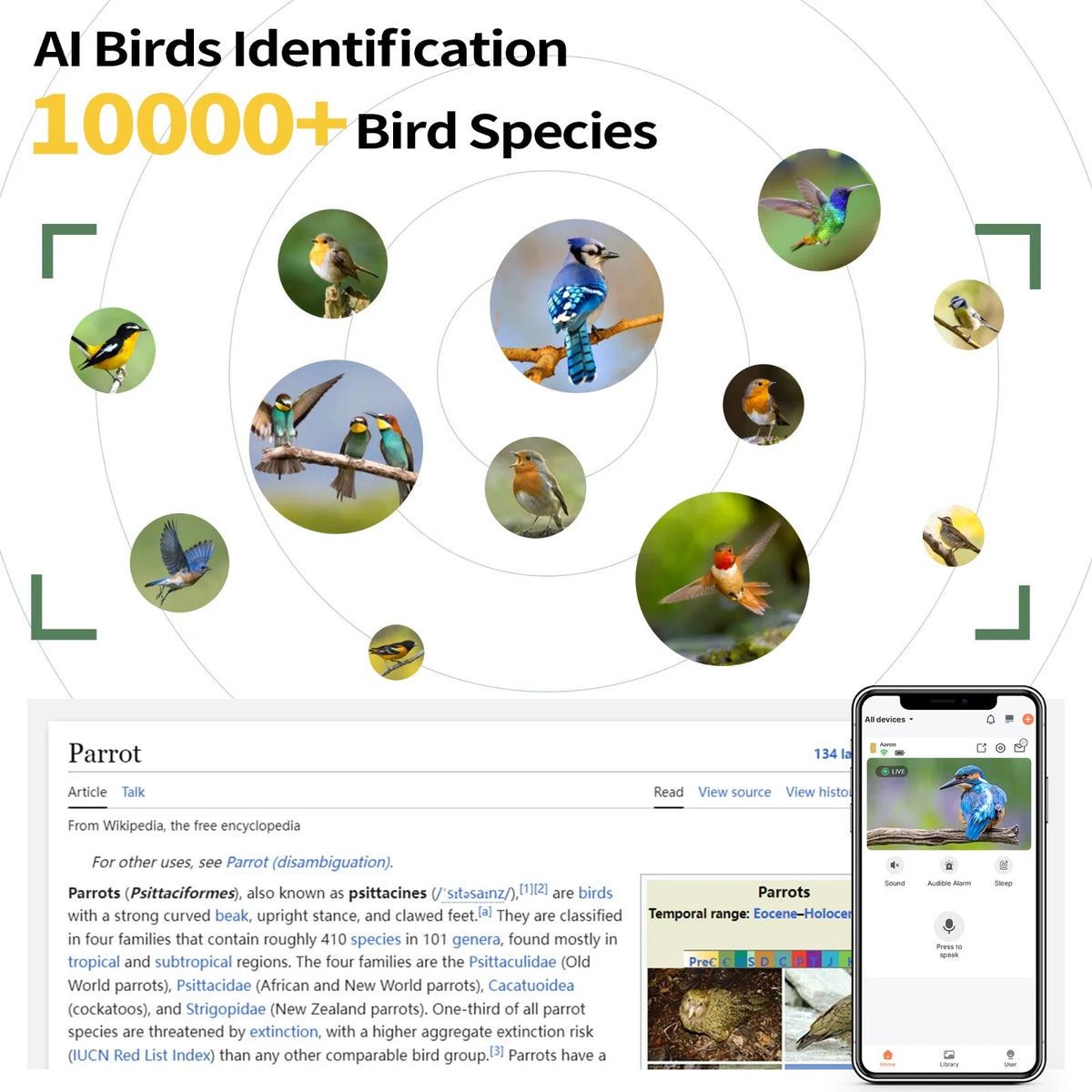 Solar Smart Bird Feeder Camera with AI Recognition and 1080P Live View