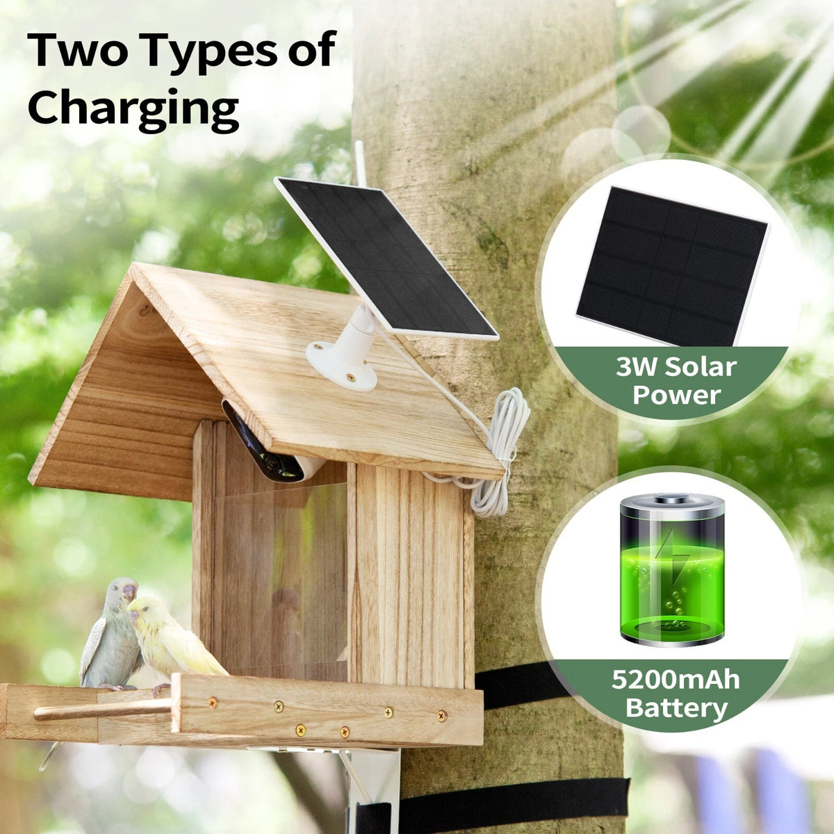 Solar Smart Bird Feeder Camera with AI Recognition and 1080P Live View
