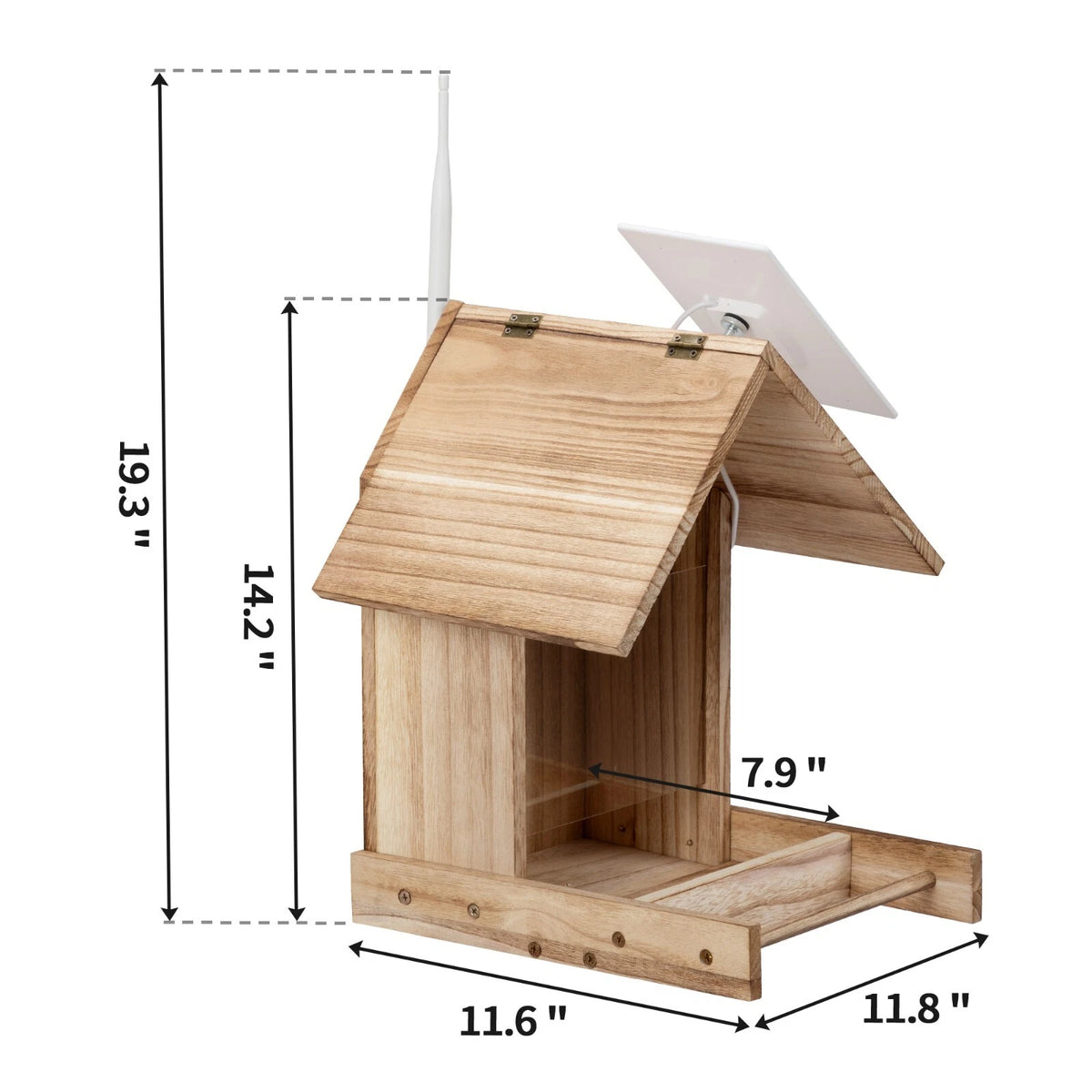 Solar Smart Bird Feeder Camera with AI Recognition and 1080P Live View
