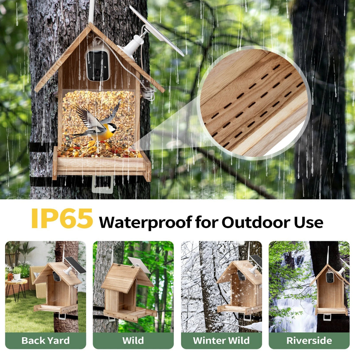 Solar Smart Bird Feeder Camera with AI Recognition and 1080P Live View