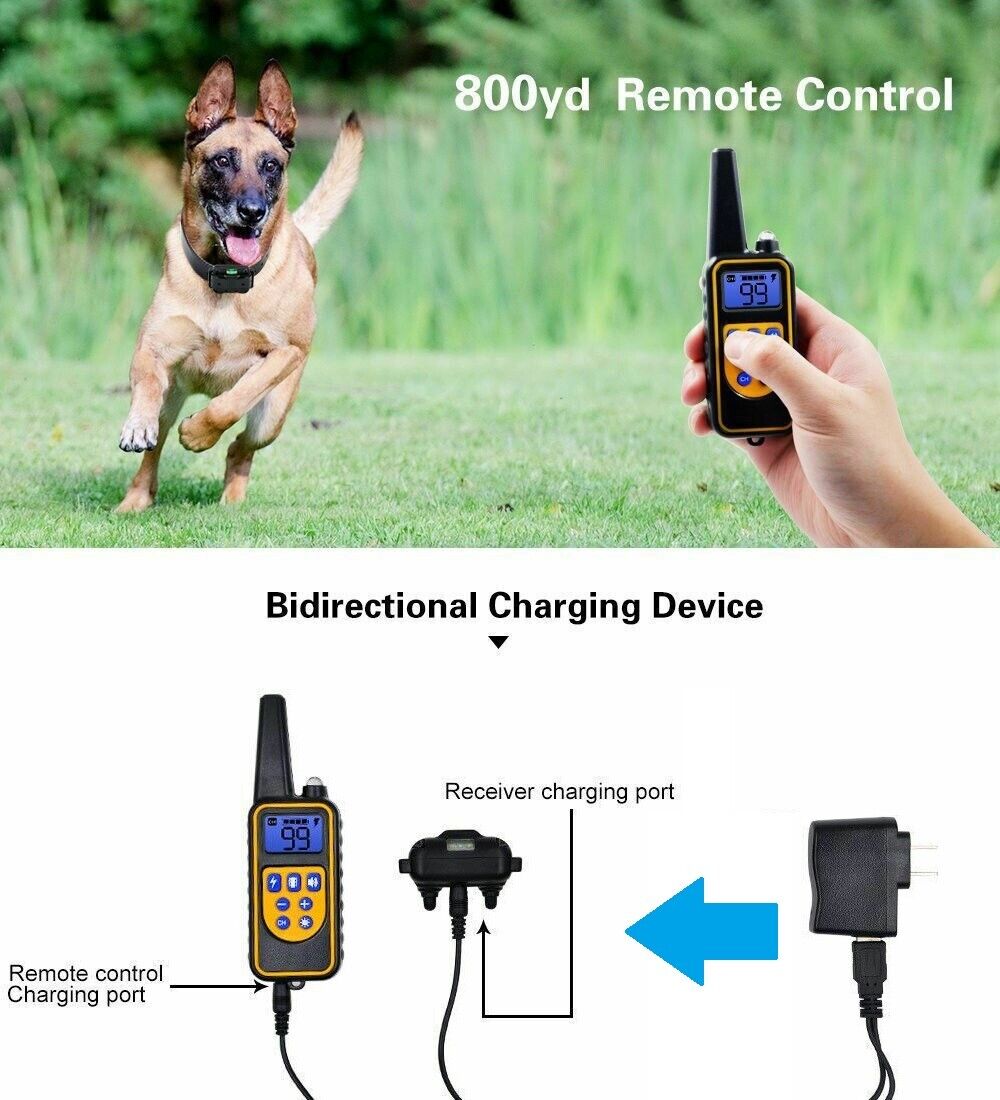Rechargeable Remote Control Waterproof Dog Training Collar