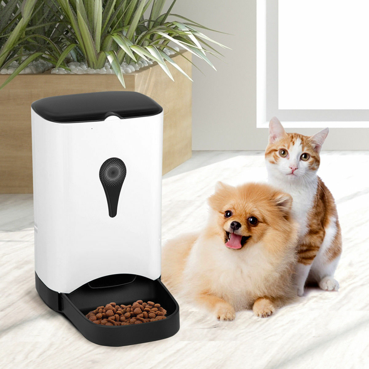 4.5L Automatic Pet Feeder for Dog Cat Food Dispenser w/ Voice Recorder and Timer