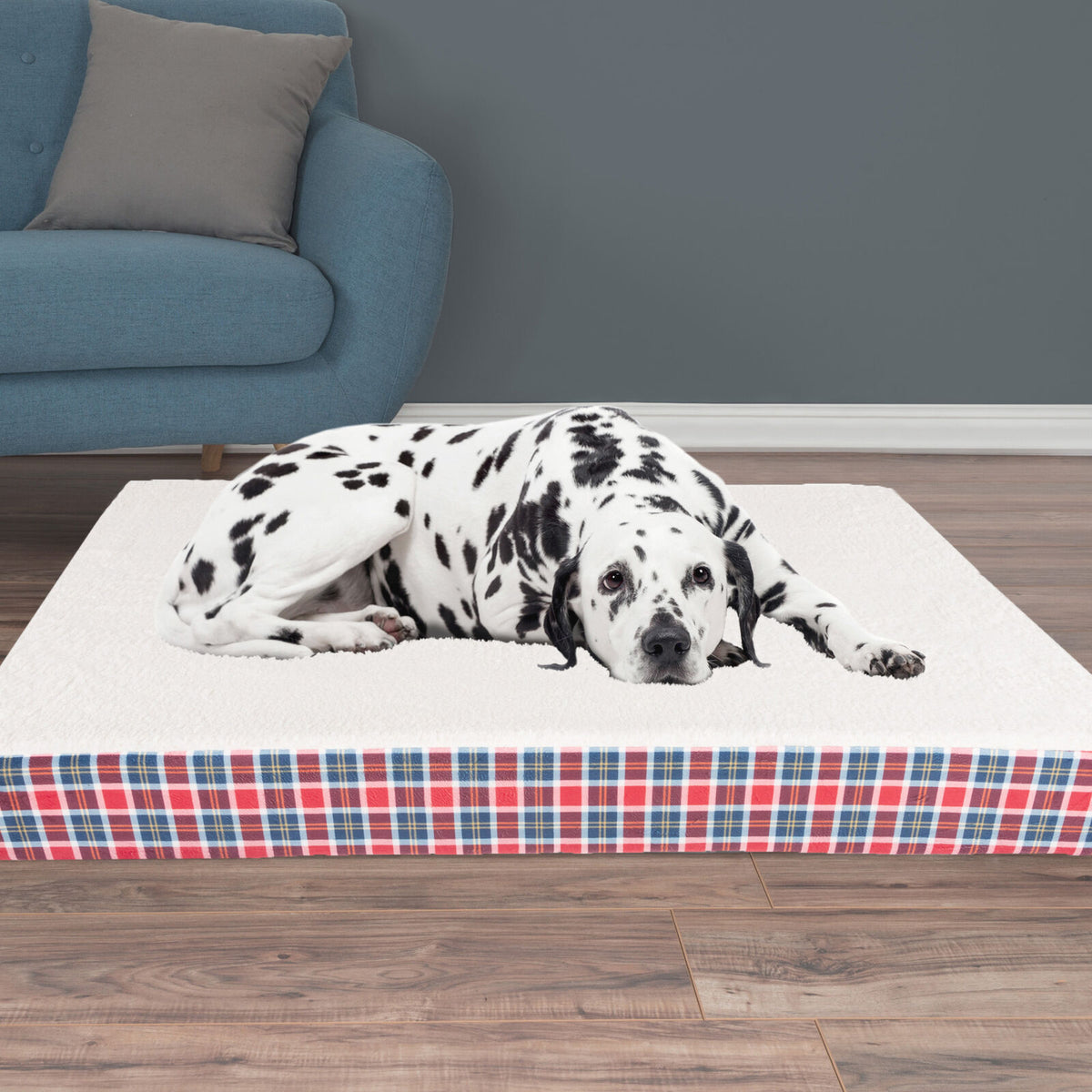 XL Orthopedic Memory Foam Dog Bed - 36x44x3.5 In