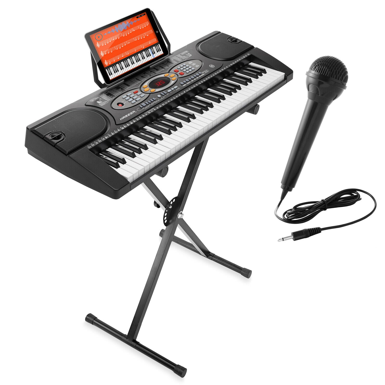 Portable Electronic Keyboard 61 Keys with Microphone USB and Stand Kit