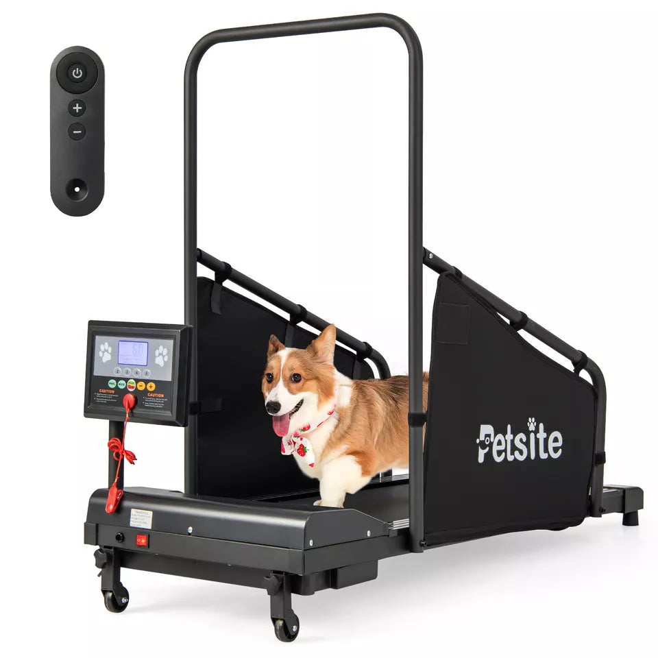 dog treadmill for indoor and outdoor
