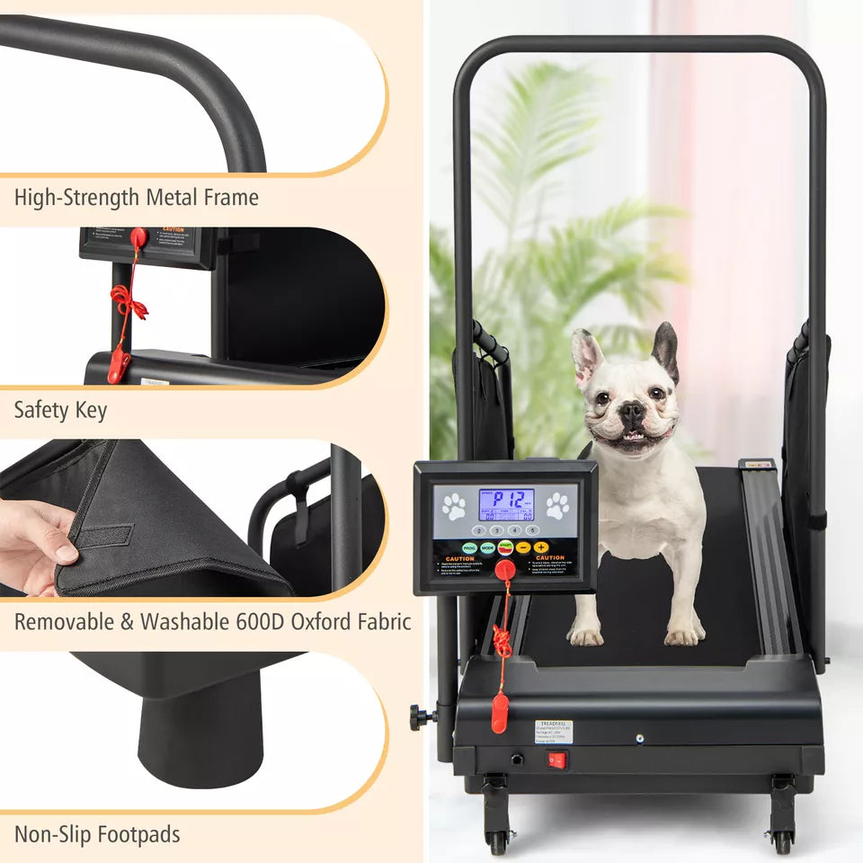 canine exercise equipment features